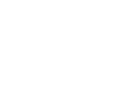 The Stone in My Shoe Podcast